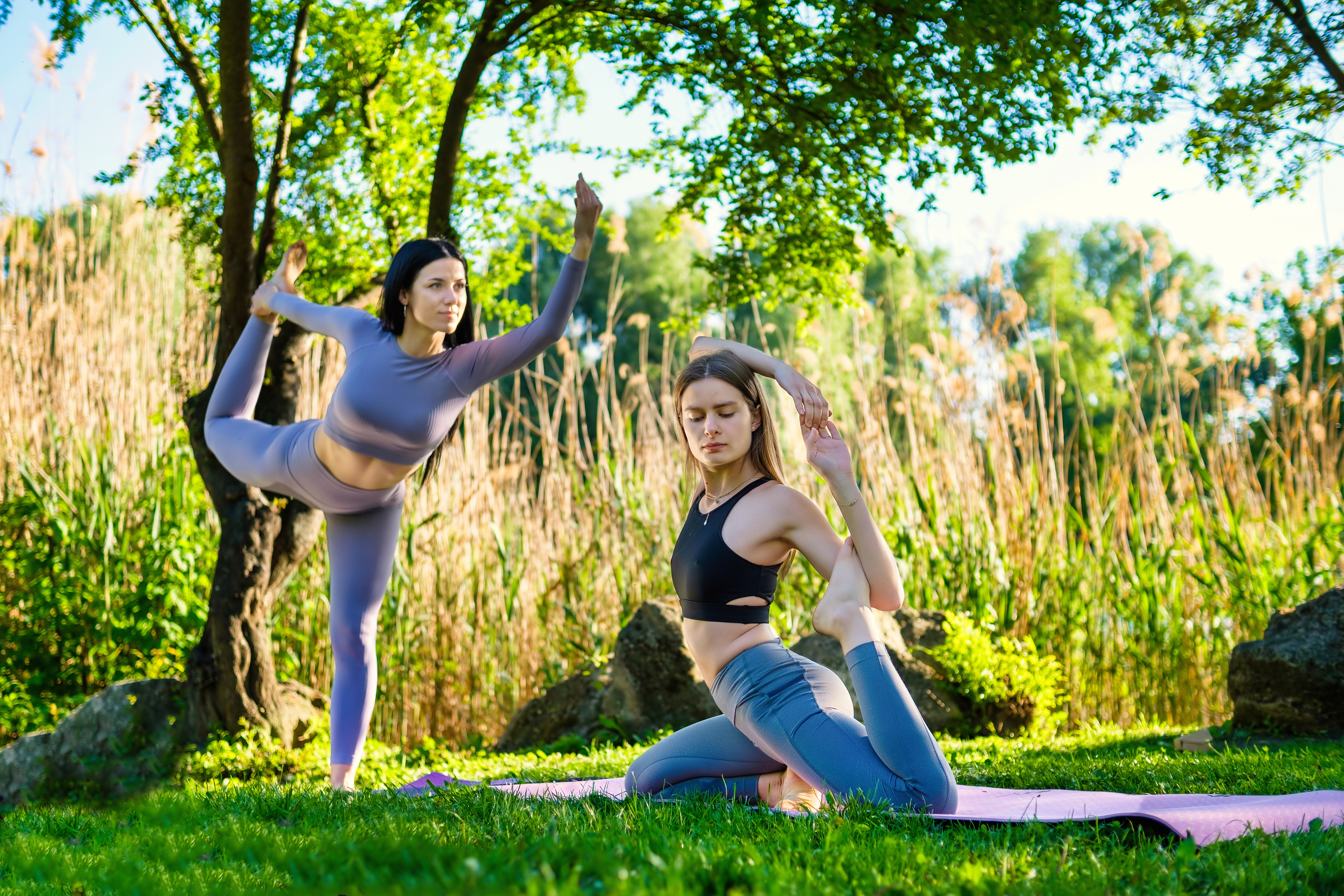 Two women engaged in Vinyasa Flow Yoga amidst nature at the park