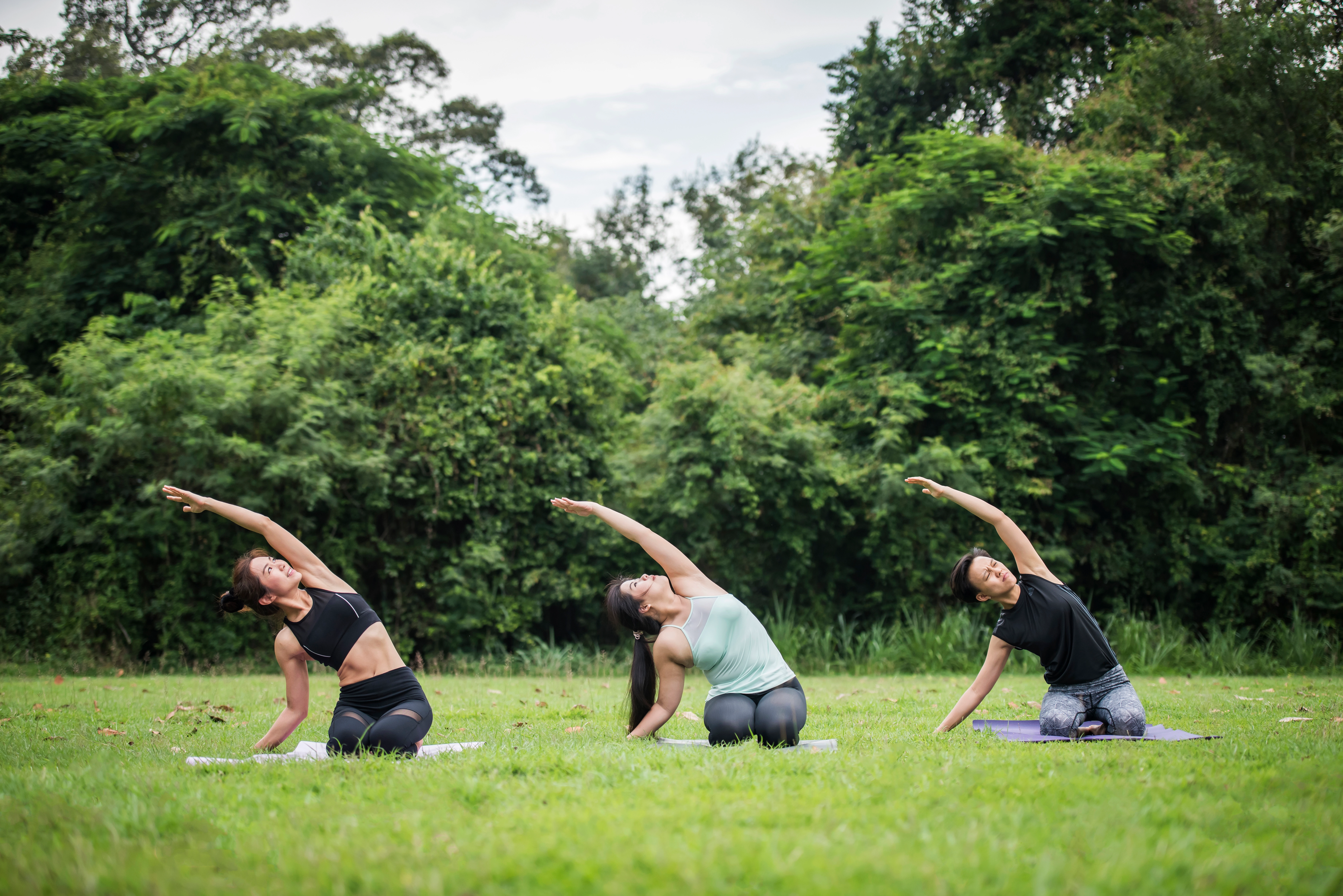 Three individuals participating in beginner-friendly yoga session amidst park scenery